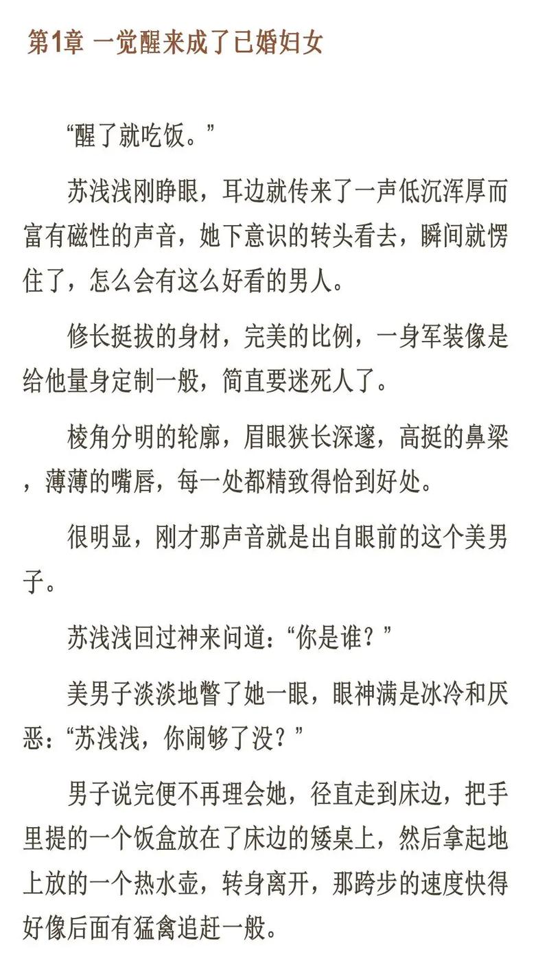 浅城小说免费版