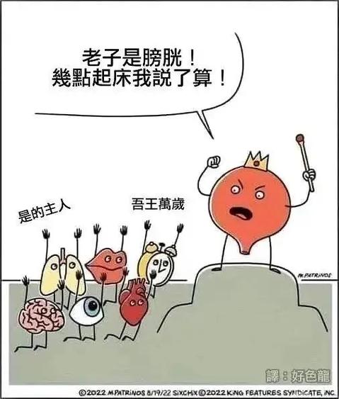 算了吧幽默回复