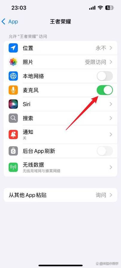 苹果王者荣耀没有麦克风权限