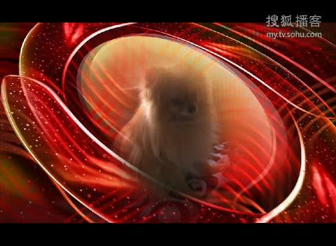 球球视频安装缩略图