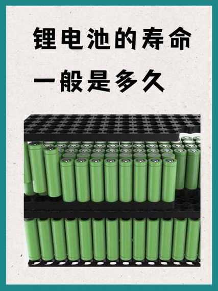 雅萌寿命一般多久缩略图