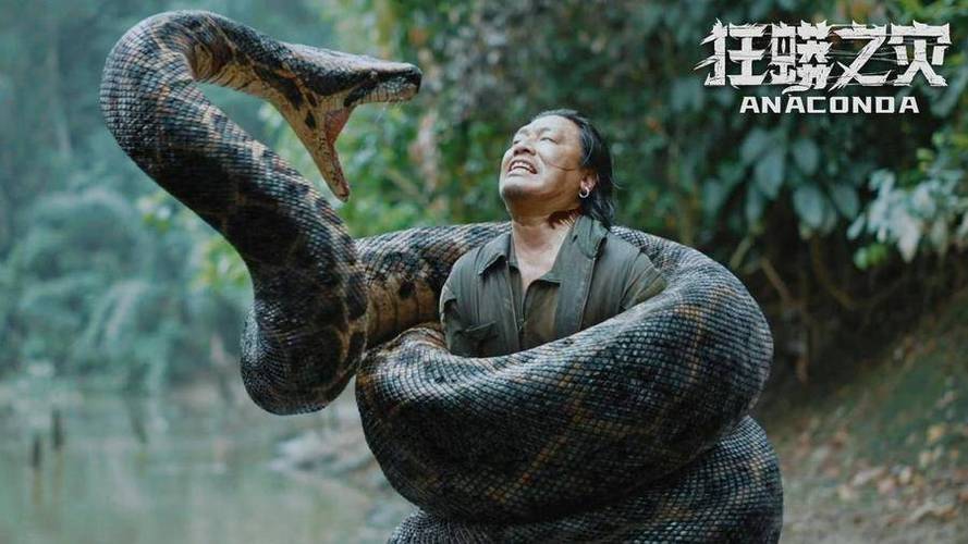《巨蟒6》免费观看高清