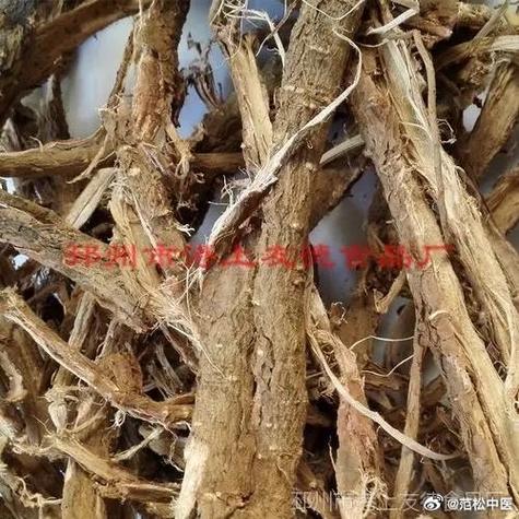白果性味归经