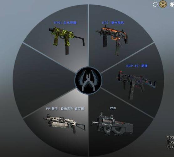 CSGO物品栏满