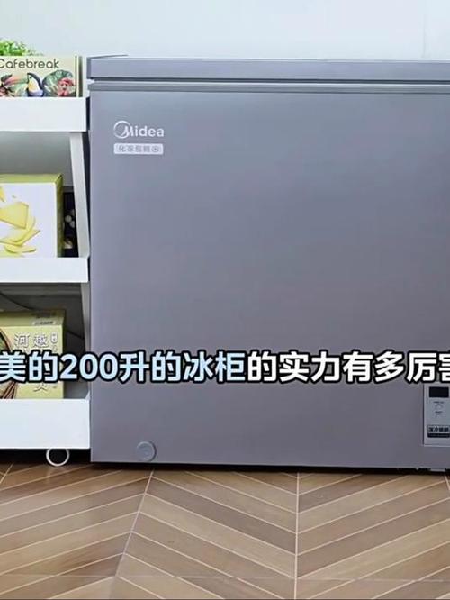 家用小型冰柜什么牌子的好