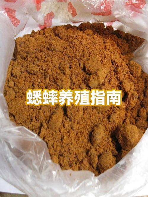 蟋蟀怕什么如何赶走
