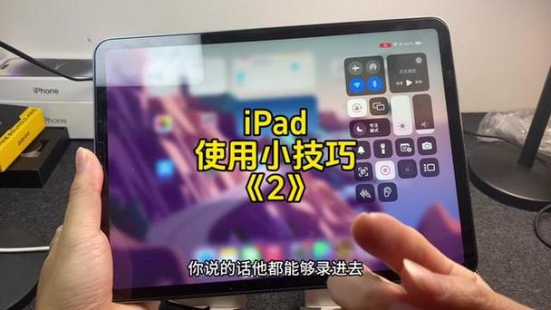 ipad没有麦克风权限怎么设置