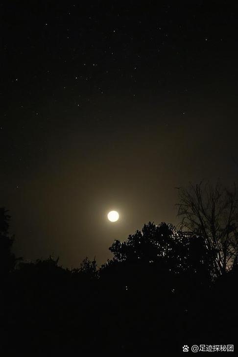 望长夜那明月皎洁