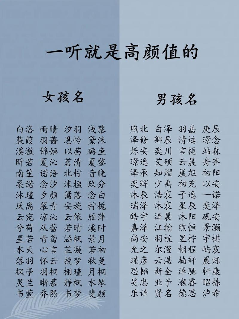 怎么更改抖音号的名字