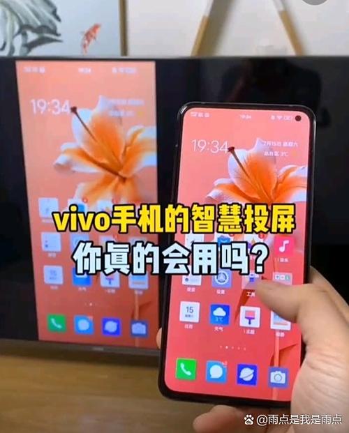 vivo手机图片镜像游戏截图