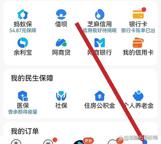为什么支付宝会员等级下降了图标