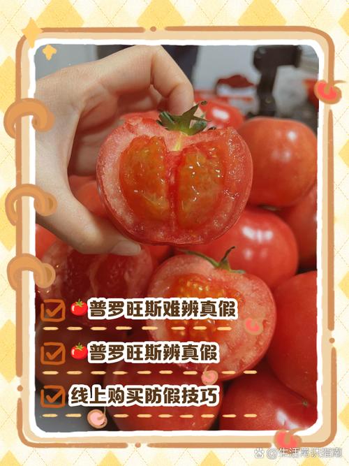 真假普罗旺斯西红柿