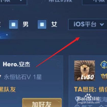 王者荣耀搜索不到要加的好友游戏截图
