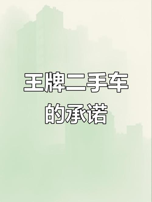 王牌二手车官方版图标