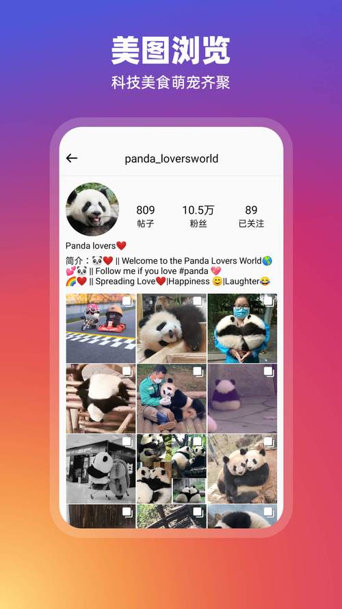 Instagram最新2021安卓版